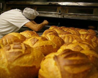 Bakkers en bakkerijen