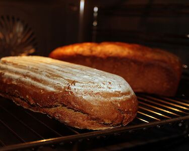 Bakkers en bakkerijen